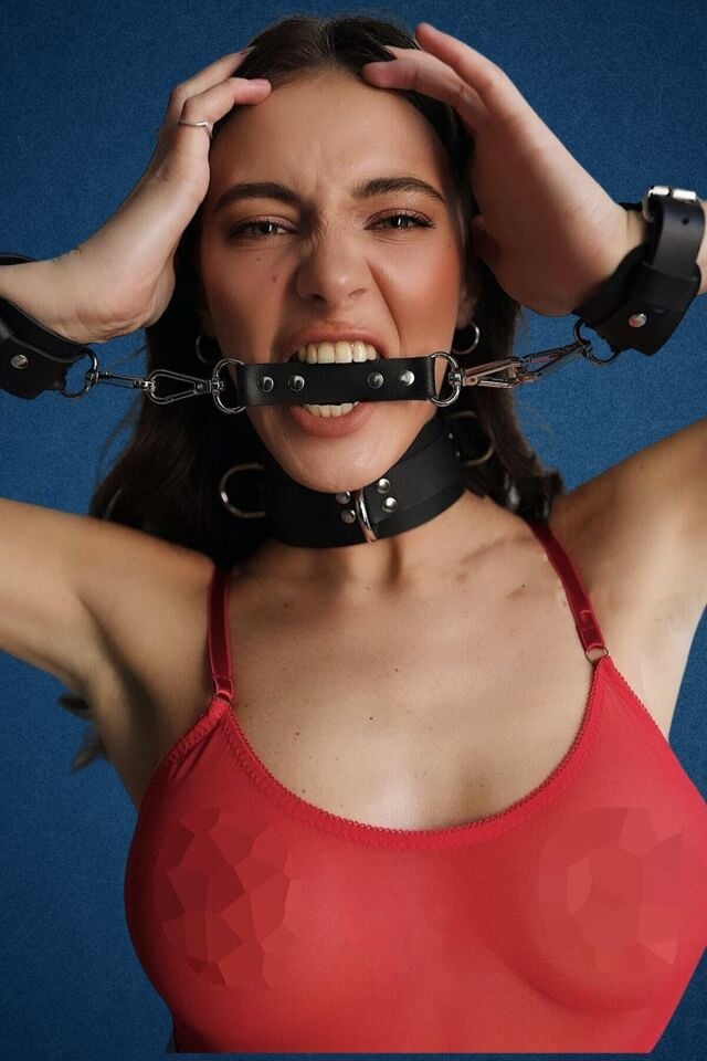 Deri Boyunluk Ve Kelepçe Harness Takım